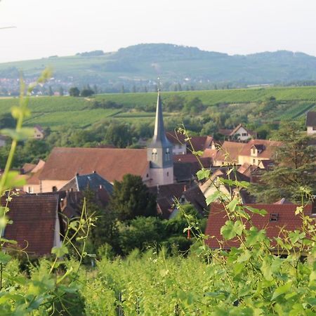 A L'Oree Des Vignes, Superbe Logement De 80 M2 Wangen Εξωτερικό φωτογραφία
