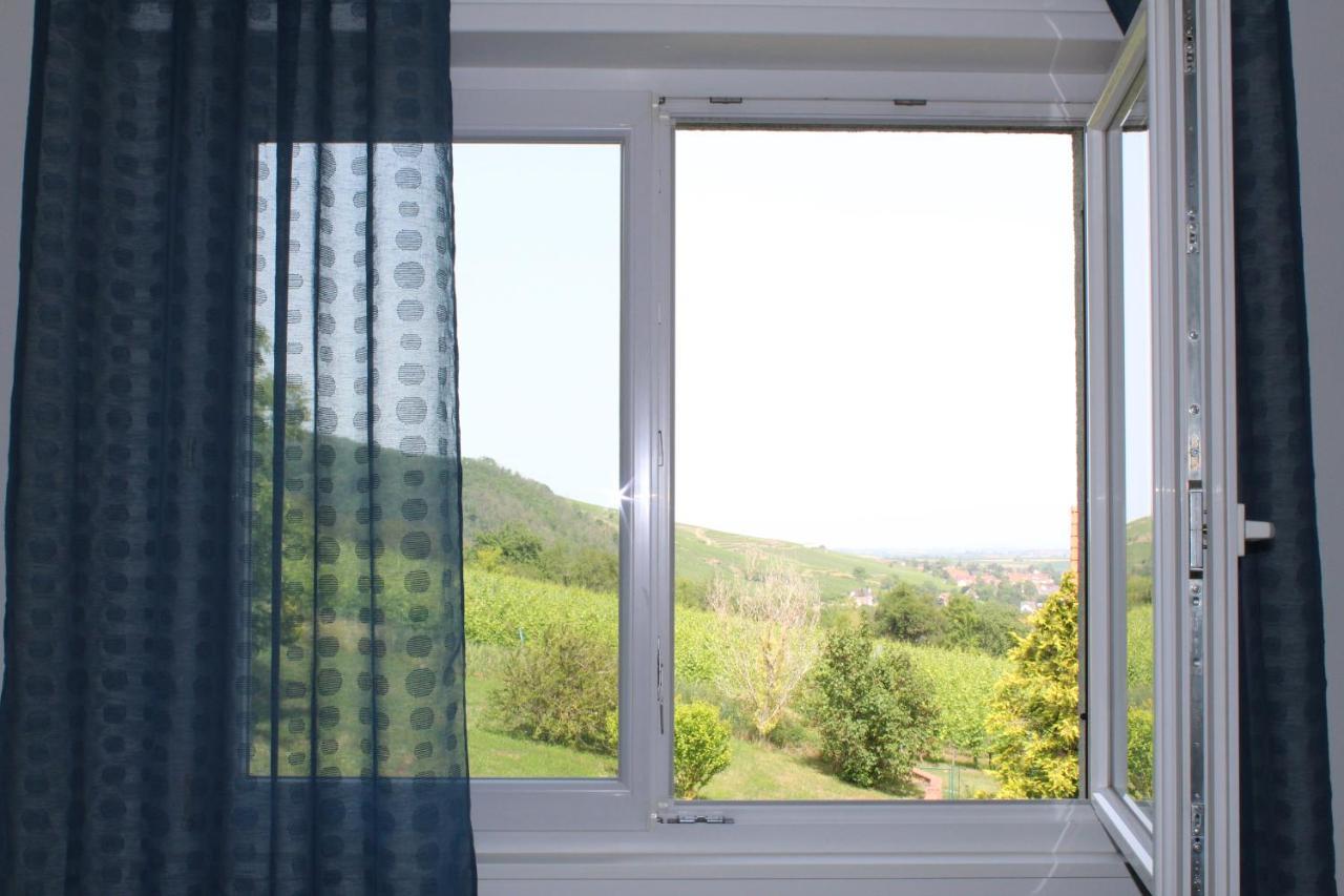 A L'Oree Des Vignes, Superbe Logement De 80 M2 Wangen Εξωτερικό φωτογραφία